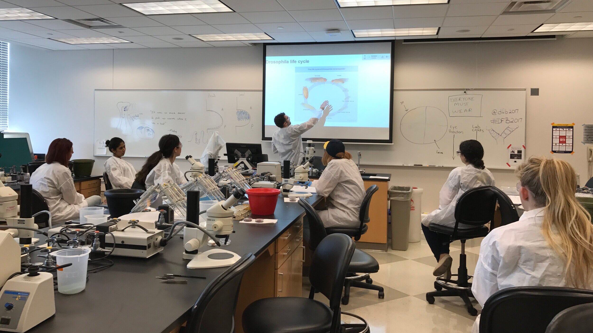  An instructor leads the introduction to the Disease and Development Lab module involving Drosophila 