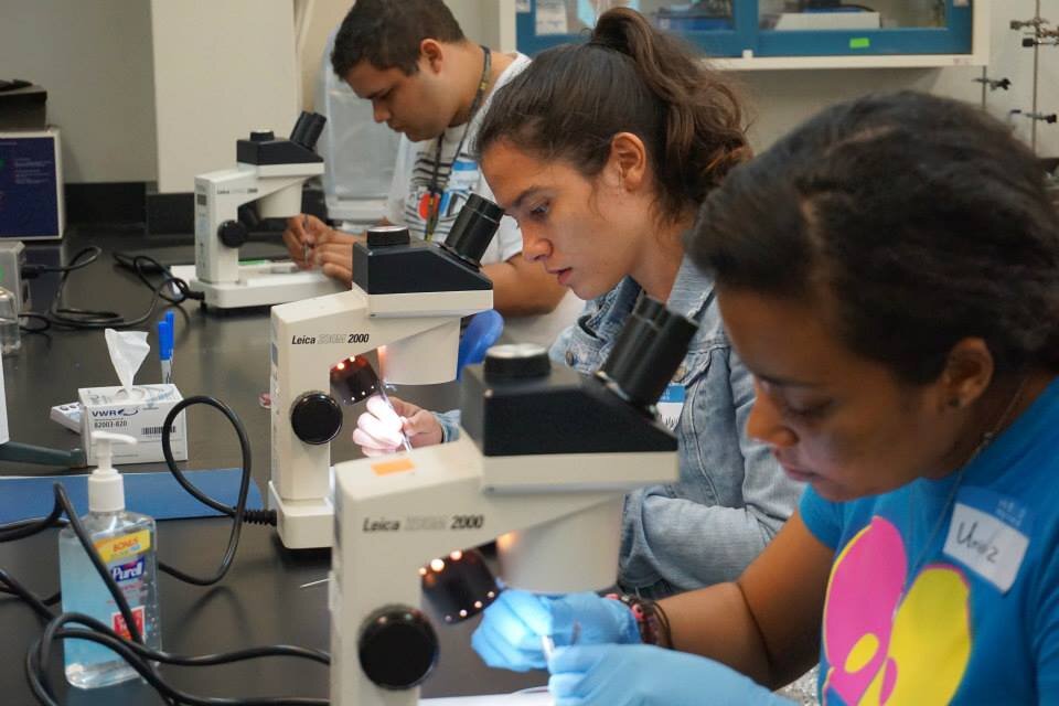  Students using their microscopes 