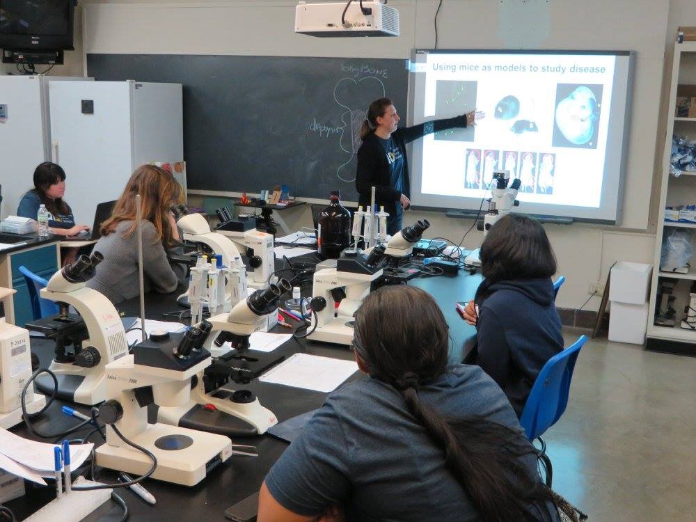  An instructor leads the lab introduction on model organisms 