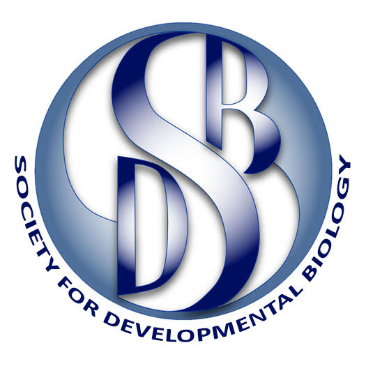 sdb-blue-logo-with-name.jpg