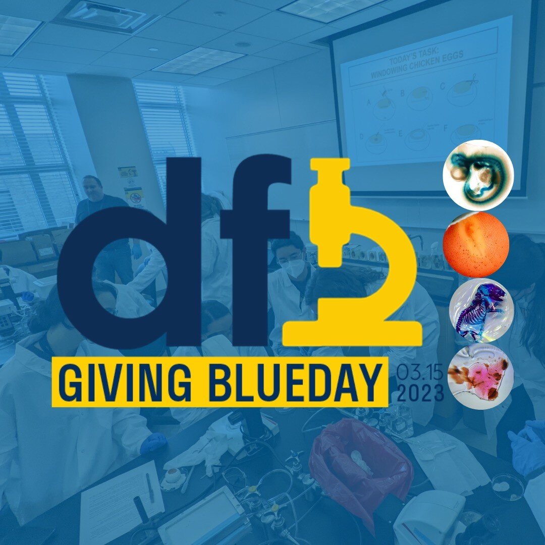 Today is #givingblueday!!!💙 Consider donating to our amazing trainee led educational outreach organization. Your donation will help us bring more DFB course alumni back for summer research fellowships and to keep teaching underrepresented undergradu