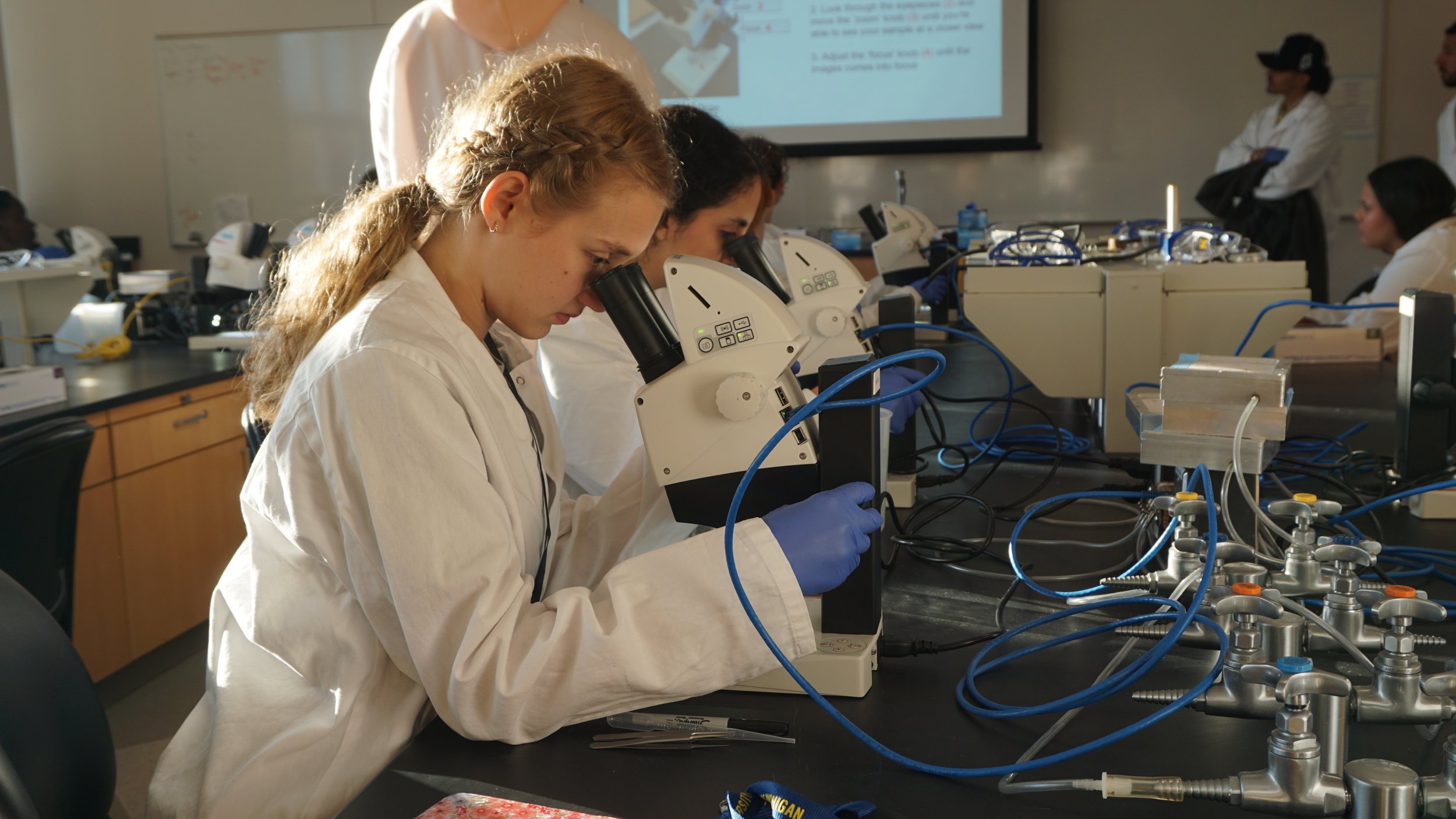 Students examine embryos under microscope 