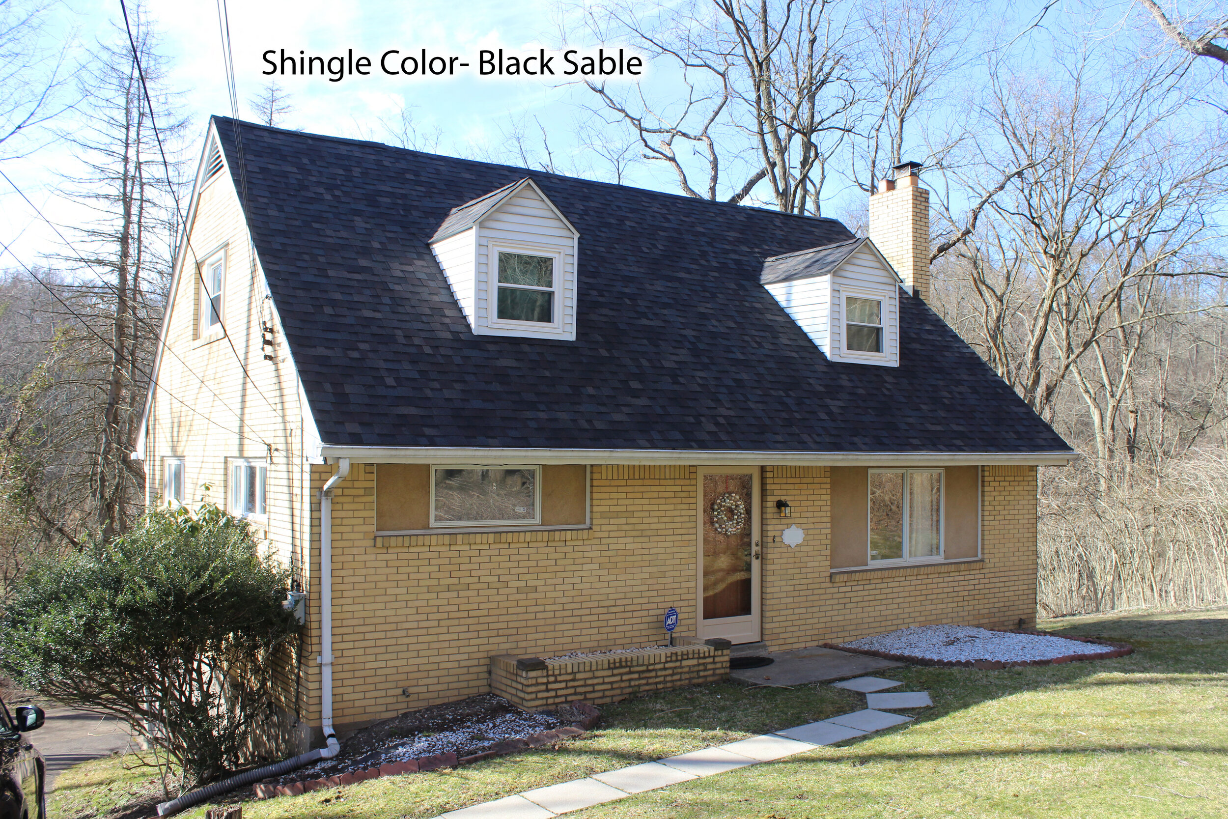 Black Sable- Penn Hills.jpg