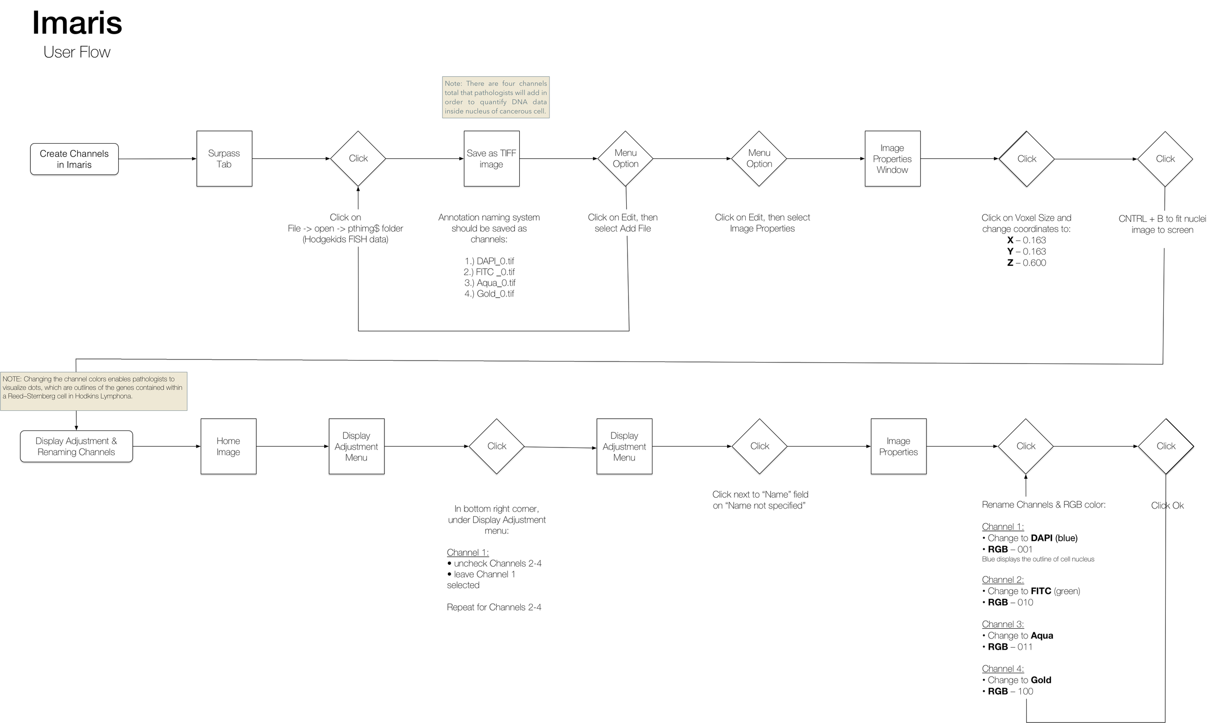 Imaris User Flow_non visual.png