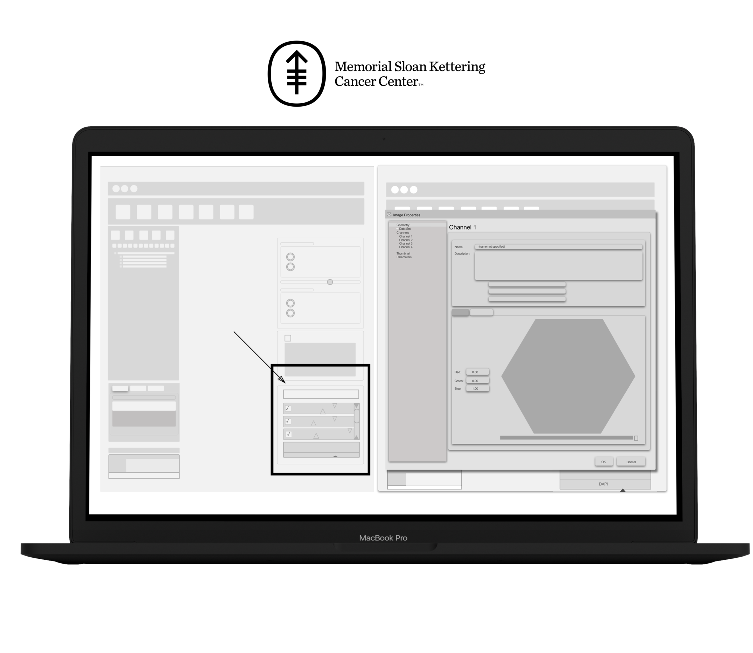 MSK Imaris user interface mockup.png