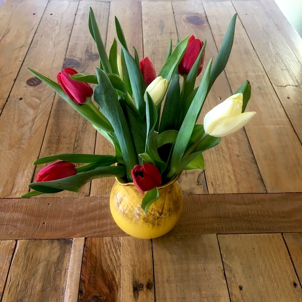 Vase of Tulips on Office Table・Karen Mittet Narrative Therapy &amp; Grief Counseling