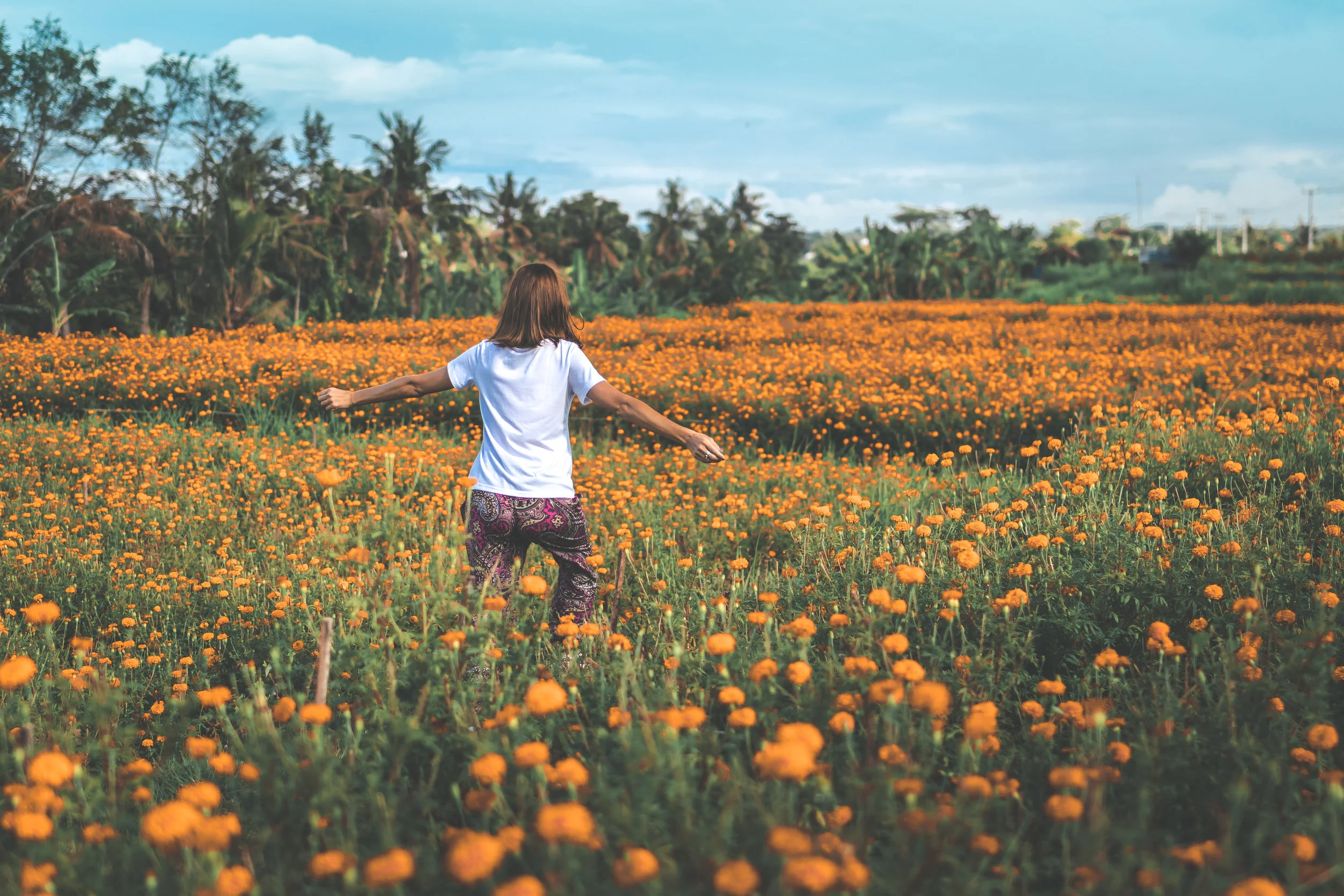 Making meaning in our lives・Karen Mittet Narrative Therapy & Grief Counseling