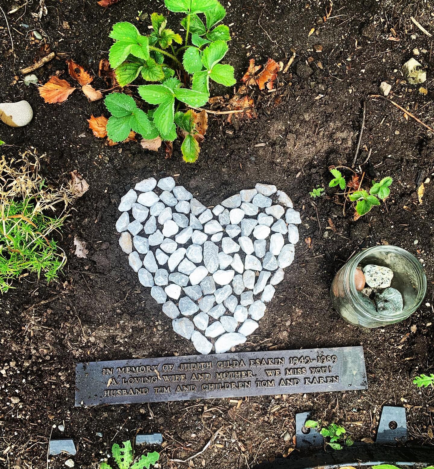 34 years ago today, my beautiful, determined, inspiring, thoughtful and compassionate mother died.  Last month, I placed a memorial plaque my father had made for a bench in English Bay many years ago in my garden without mentioning it to my family.  