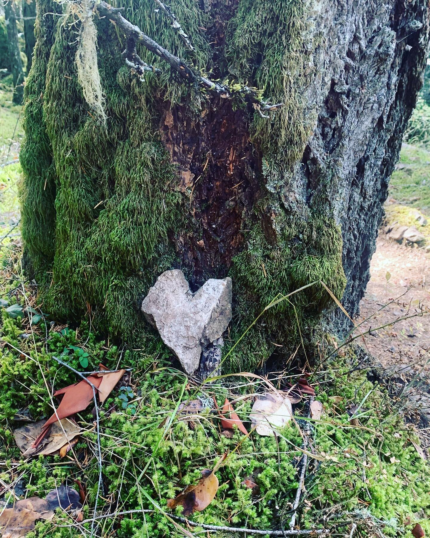 On a weekend hike with dear friends from Edmonton, we came across this heart stone along the path.  My affection for hearts finds the unexpected in the natural landscape of wonder and awe. 💚 Recycle the energy of love by witnessing people through th