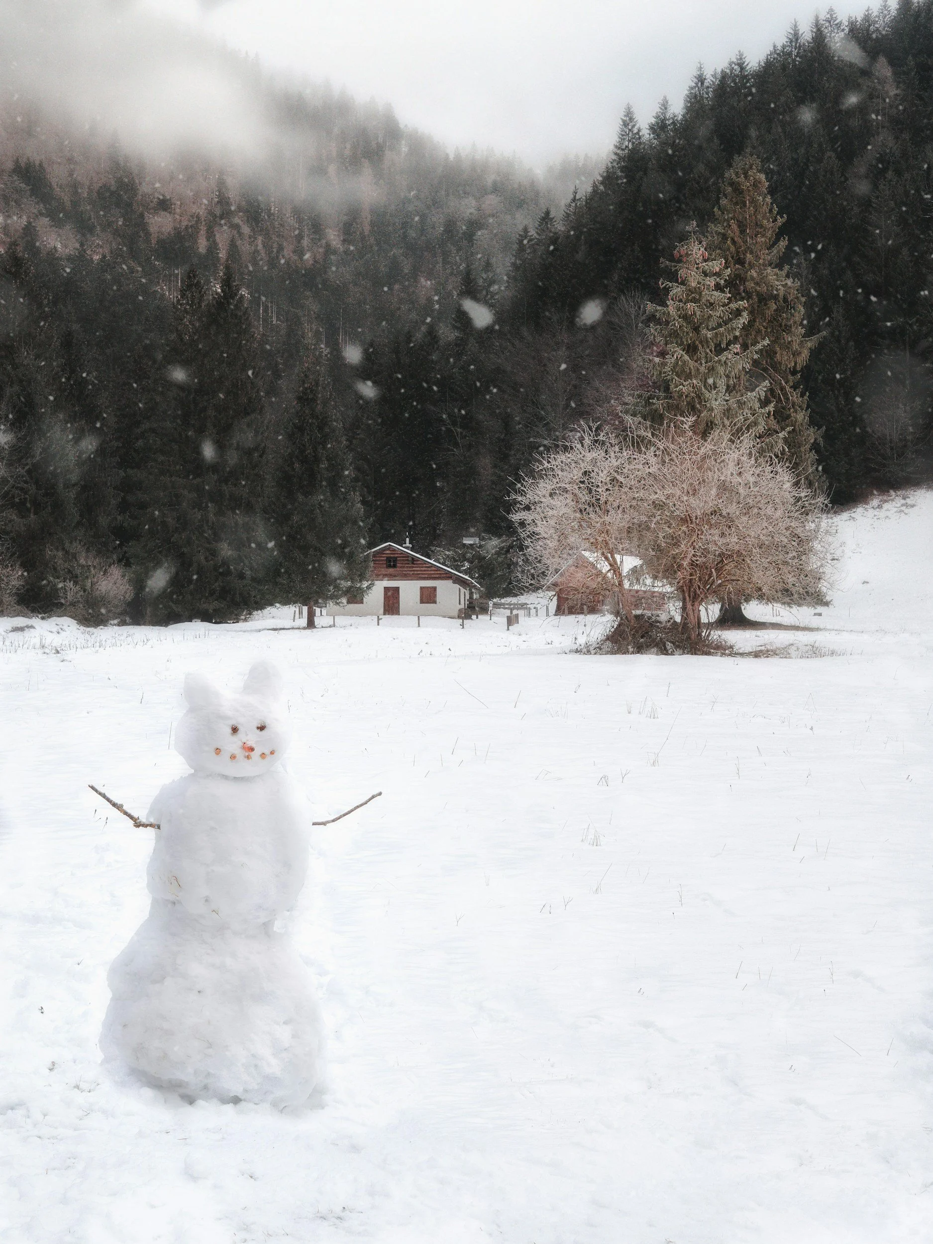 Holiday Grief Support Gathering