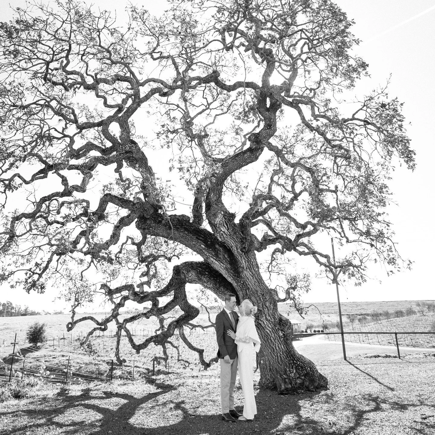Me and @stephaniewinshipphotography made a dynamic duo for this last elopement of the year. Such a sweet couple to finish out 2025. #napaelopement #napaminister #napaofficiant #napaweddingofficiant #napavalleyofficiant #winecountryofficiant #napavall