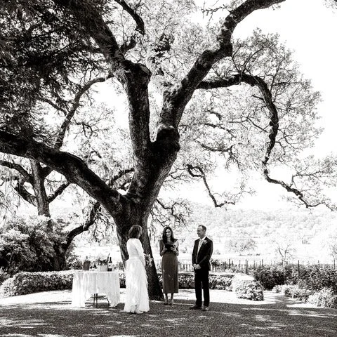 This old oak tree is definitely fueled by love! #napaelopement #napaweddingofficiant #sonomaelopement #sonomaweddingofficiant #napaofficiant #sonomaofficiant #winecountryofficiant #beltanewedding #elopeinsonoma