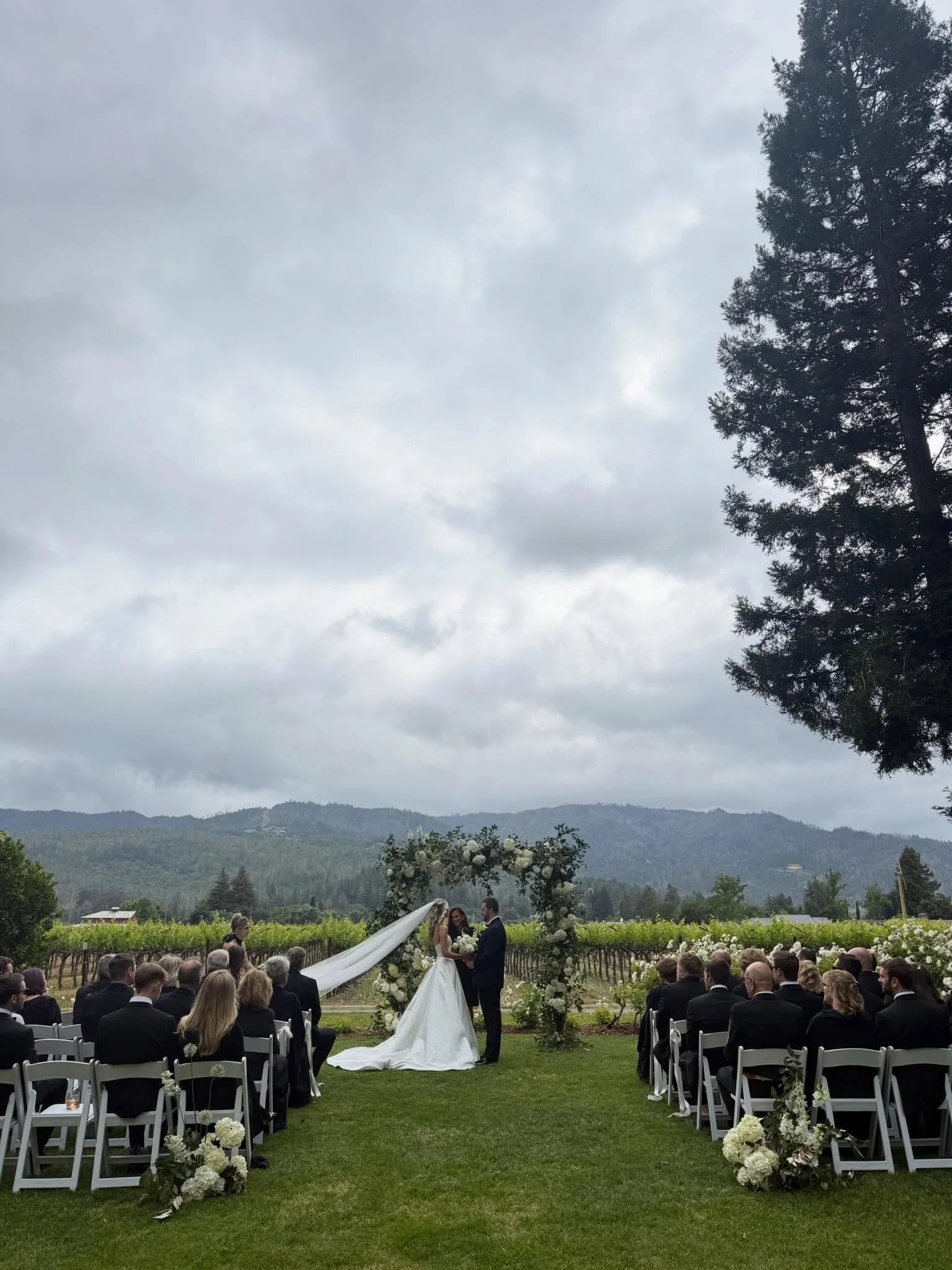 I now pronounce your husband and wife! #napawedding #napaweddingofficiant #napavalleyofficiant #napaminister #winecountryofficiant