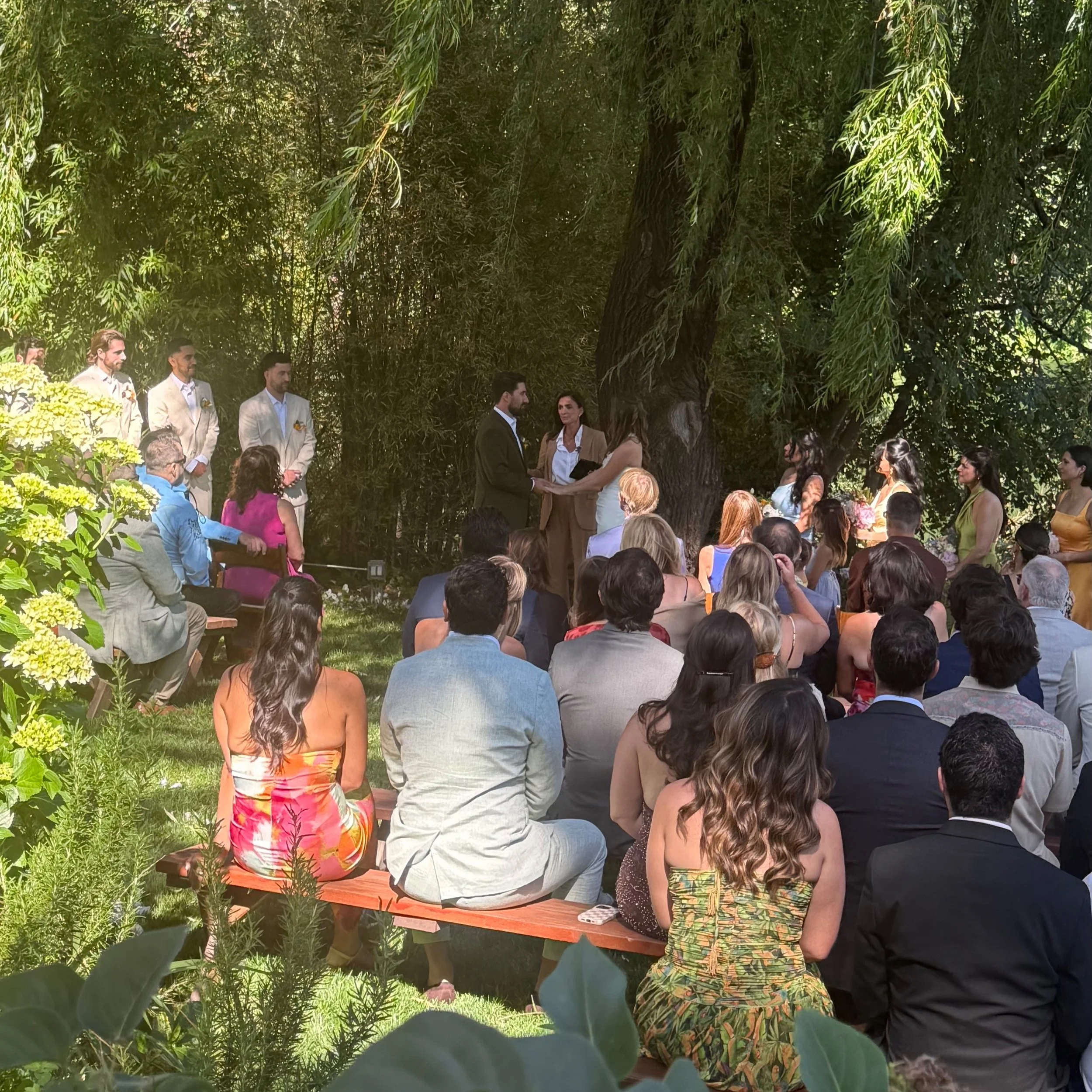 Derek and Courtney were wed by the Russian river under this ancient weeping willow. Kinda dreamy. #napaofficiant #russianriverwedding #sonomaofficiant #napaweddingofficiant #sonomaweddingofficiant #napawedding #winecountryofficiant