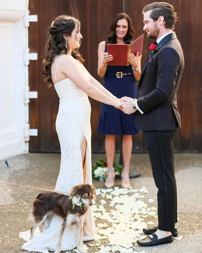 dog at wedding ceremony