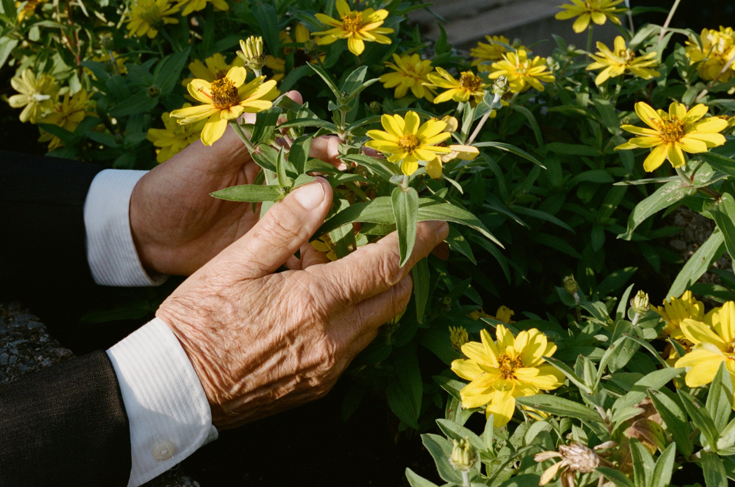 ST-H67-Leica-8.jpg
