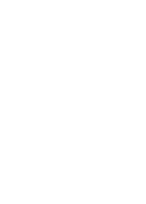 flame logo trans mini white.PNG