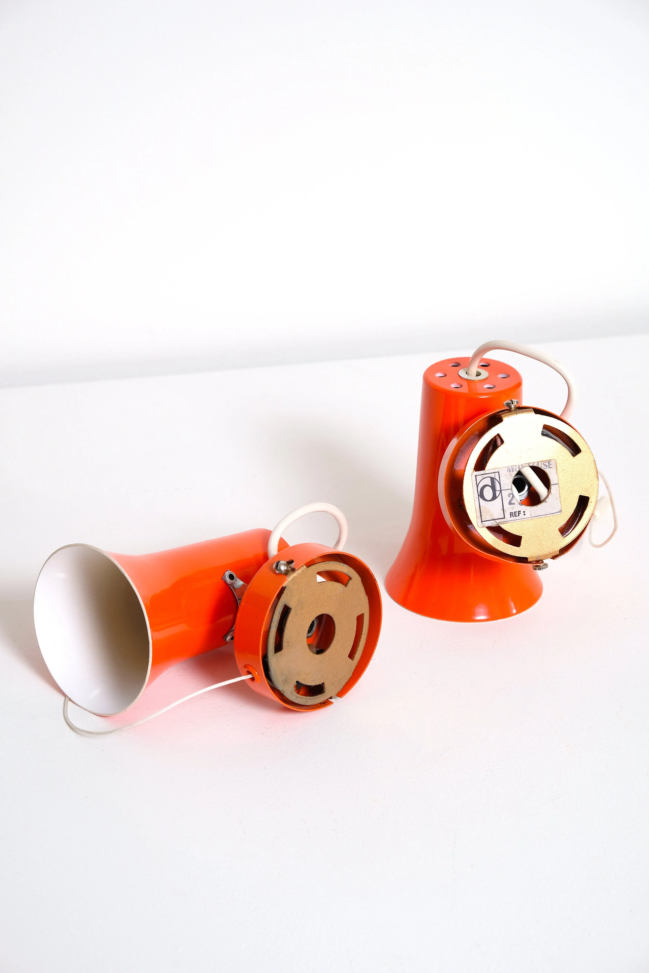orange spots 3.JPG