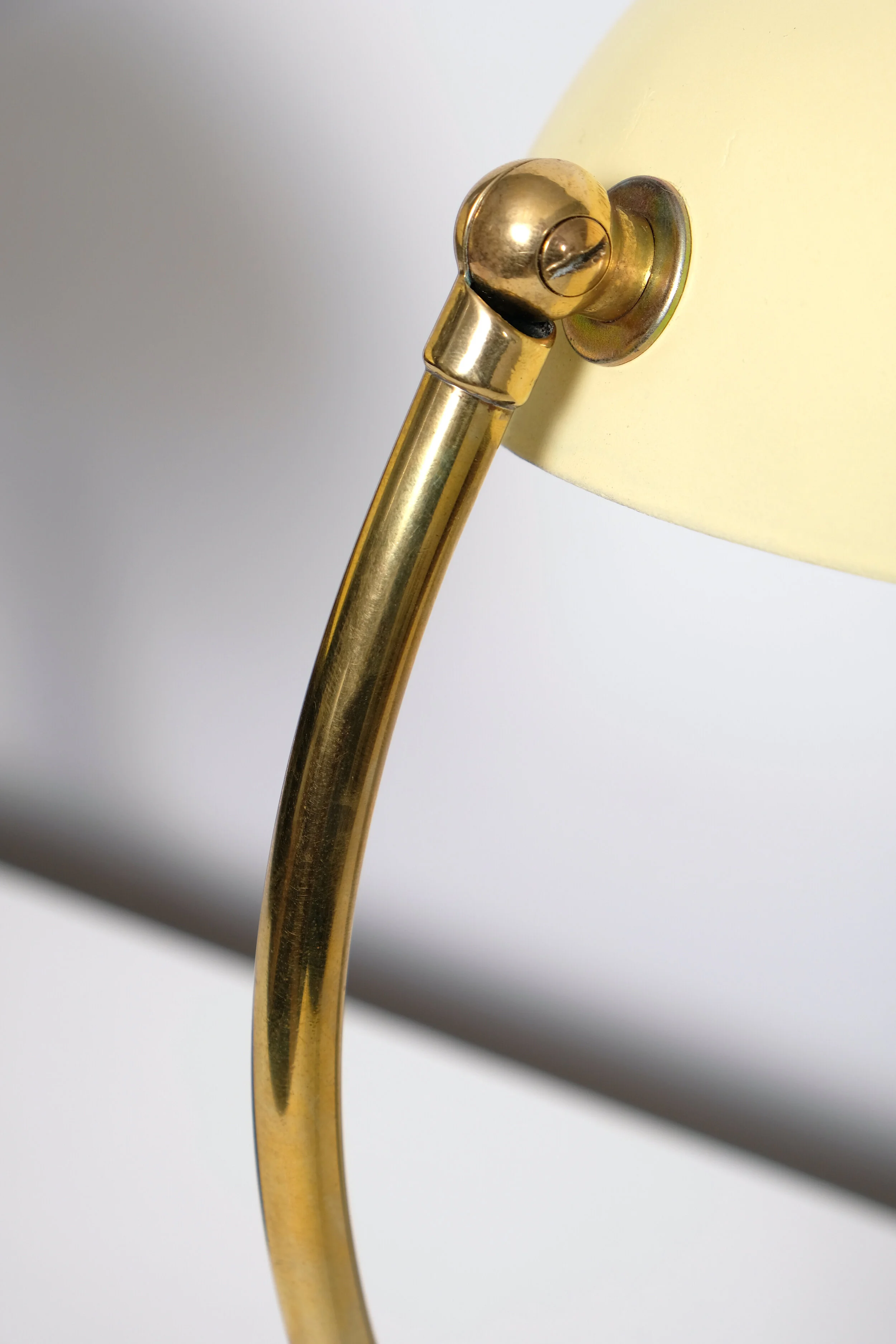 cosack yellow 3.JPG