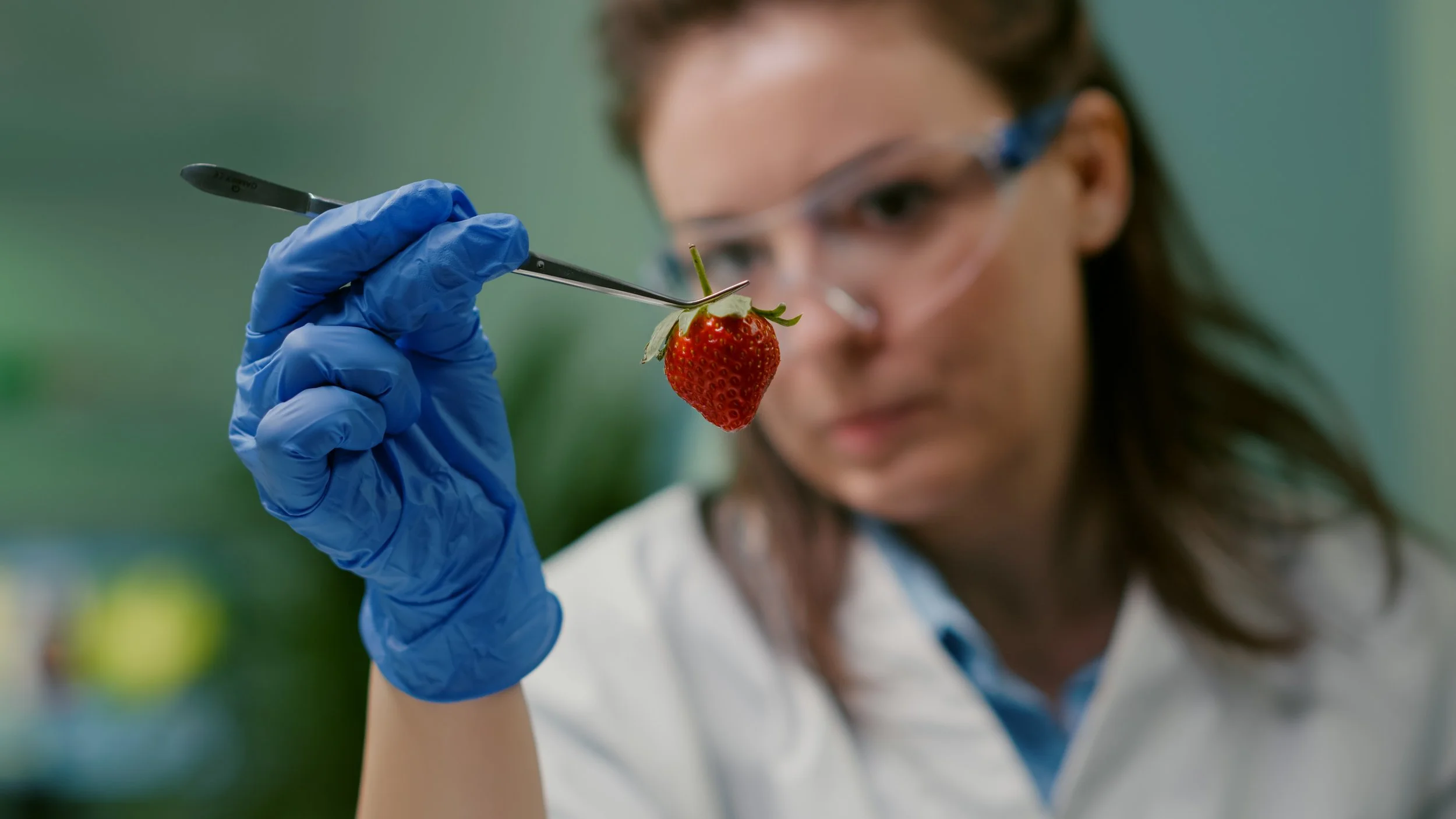 Food fraud and the need to know where your ingredients come from