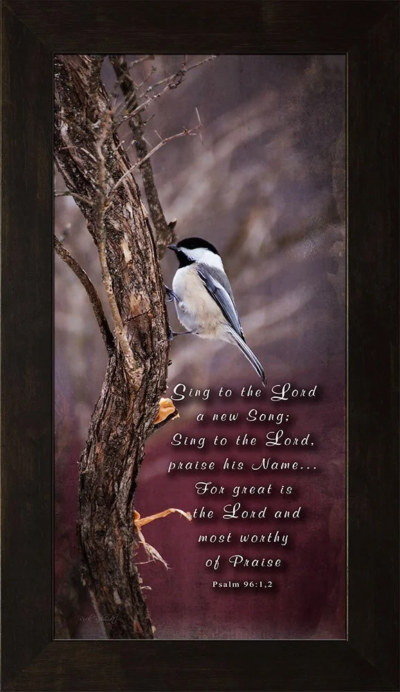 46586-Chickadee-On-Branch-10x201.jpeg