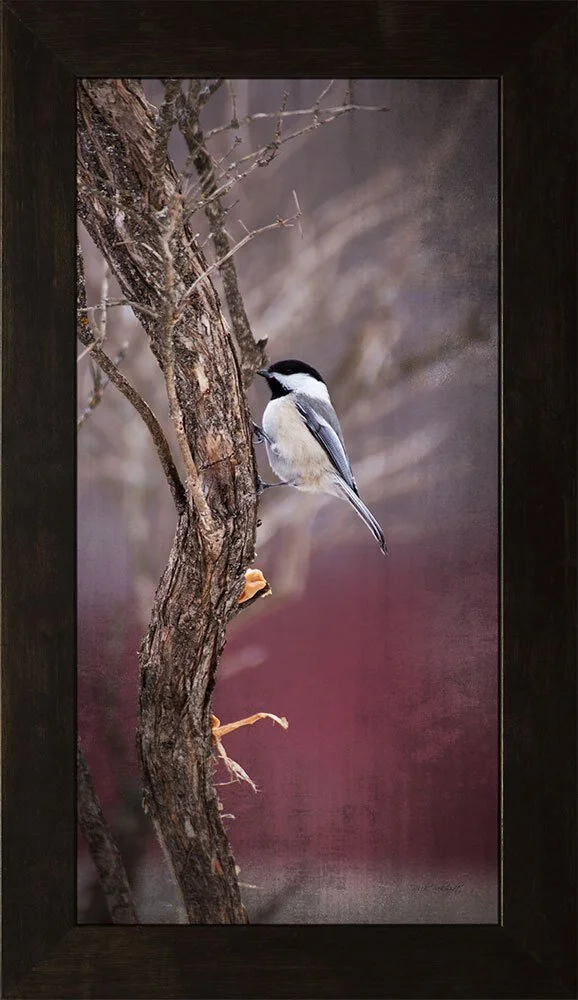 44127-Chickadee-On-Branch-10x20.jpeg