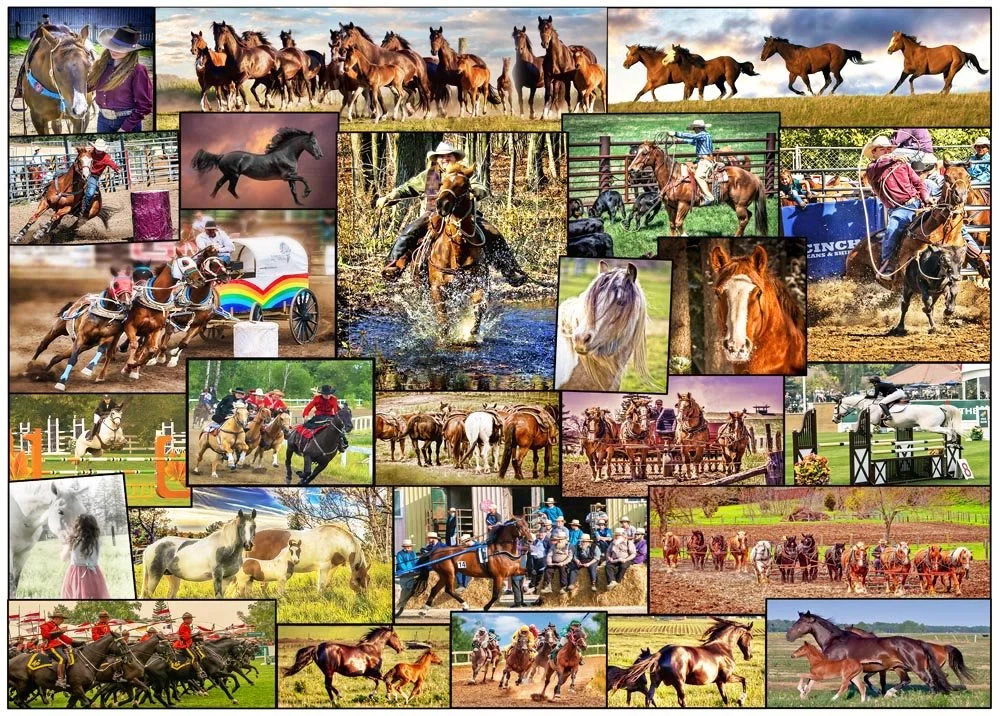 HorseCollageVer3 Mar 12.jpg