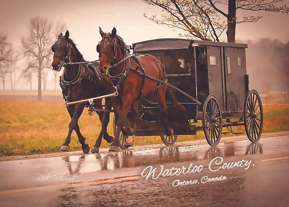 872 Amish Buggy copy.jpg