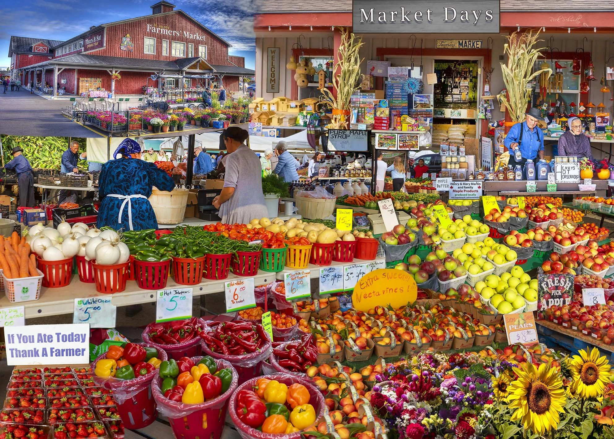 Market Days Puzzle copy.jpg
