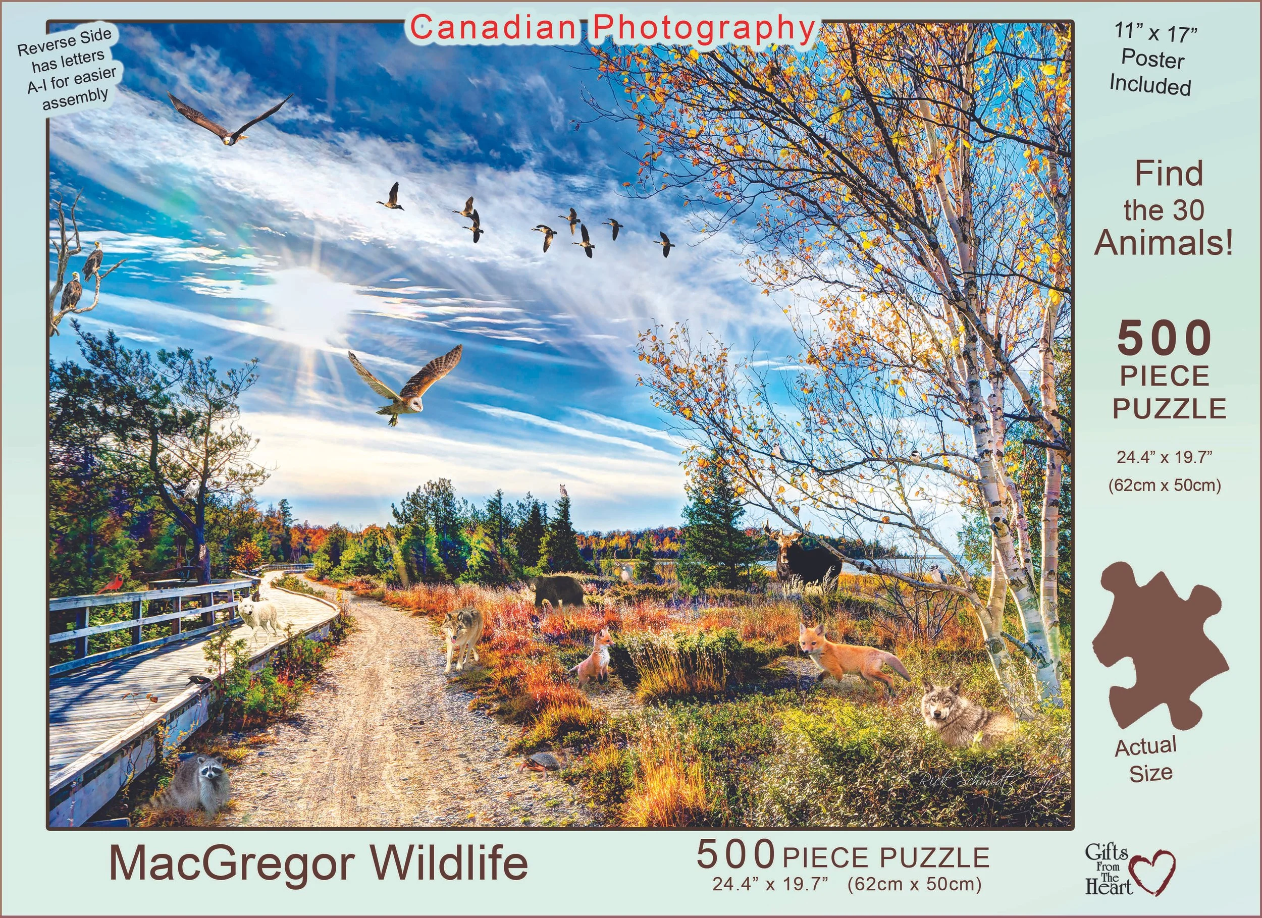 443 Mcgregor  Wildlife  copy.jpg