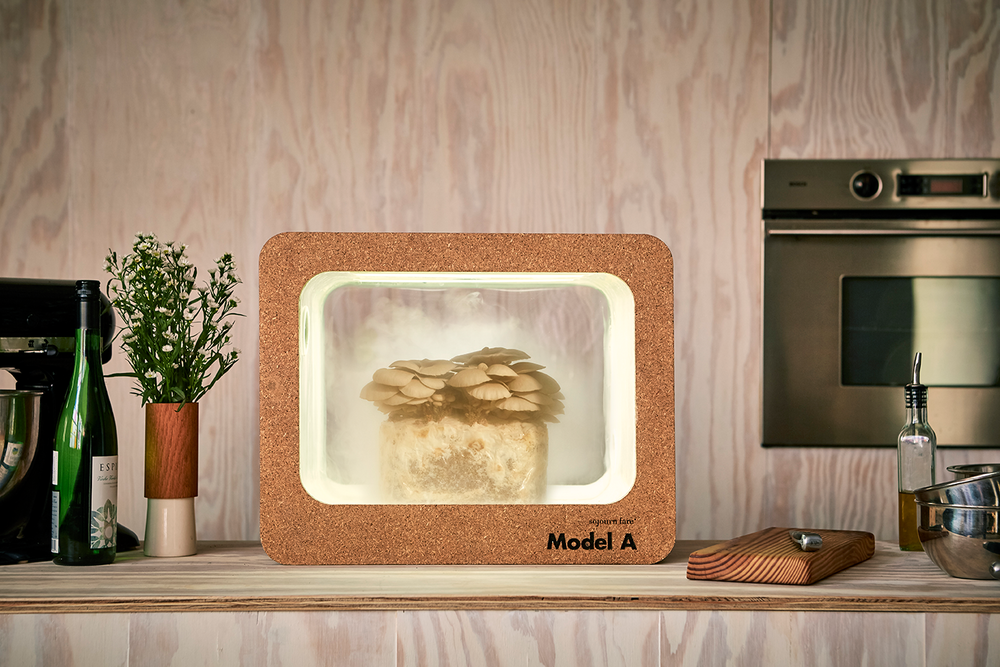 ModelA_Kitchen.png