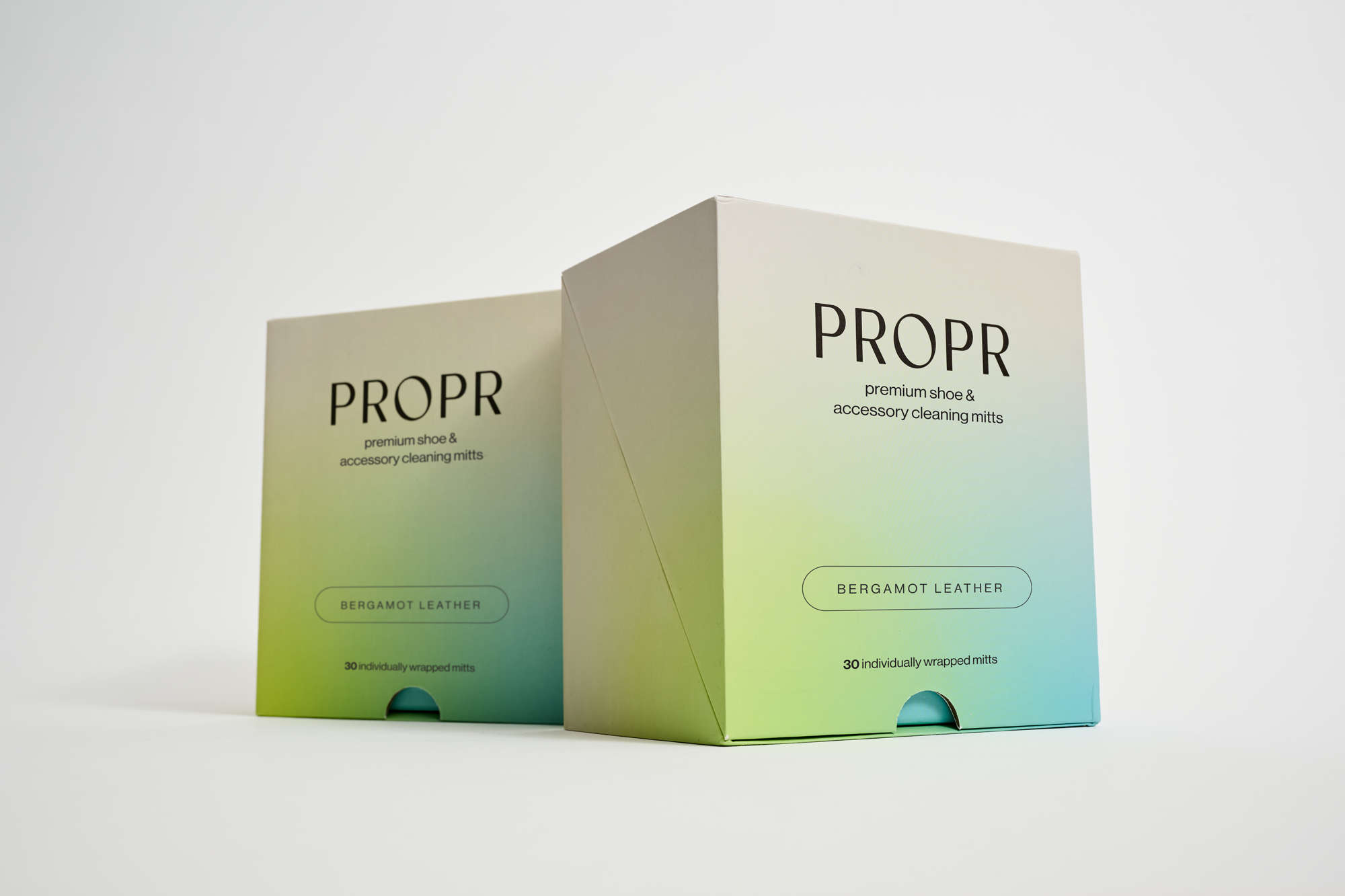 PROPR Premium Shoe & Accessory Wipes