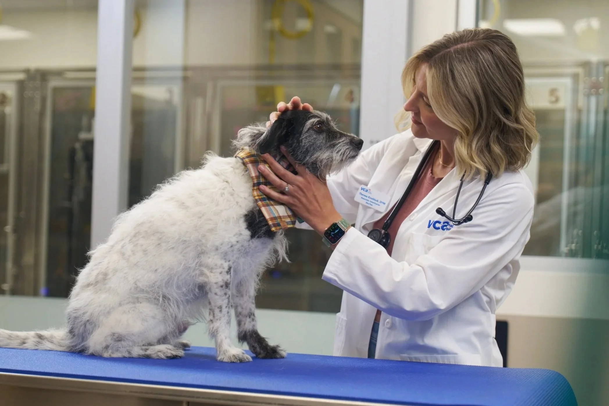 VCA Animal Hospitals