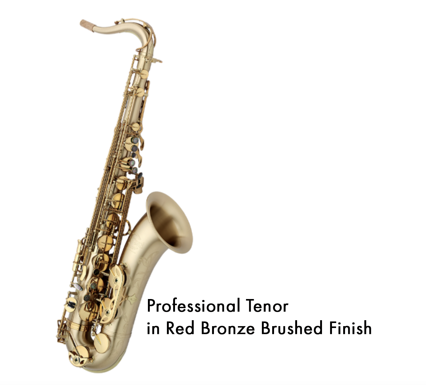 ProfessionalTenor2.png