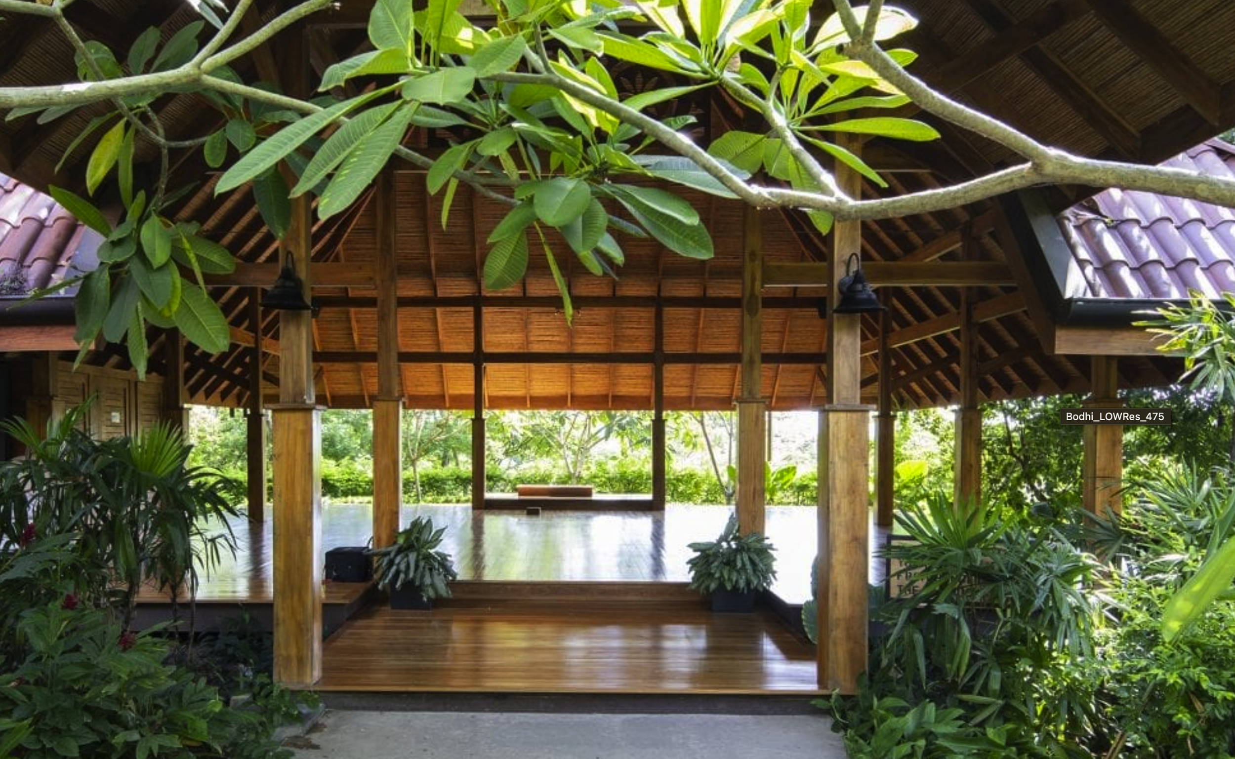 Shala at Bodhi Tree Yoga Resort