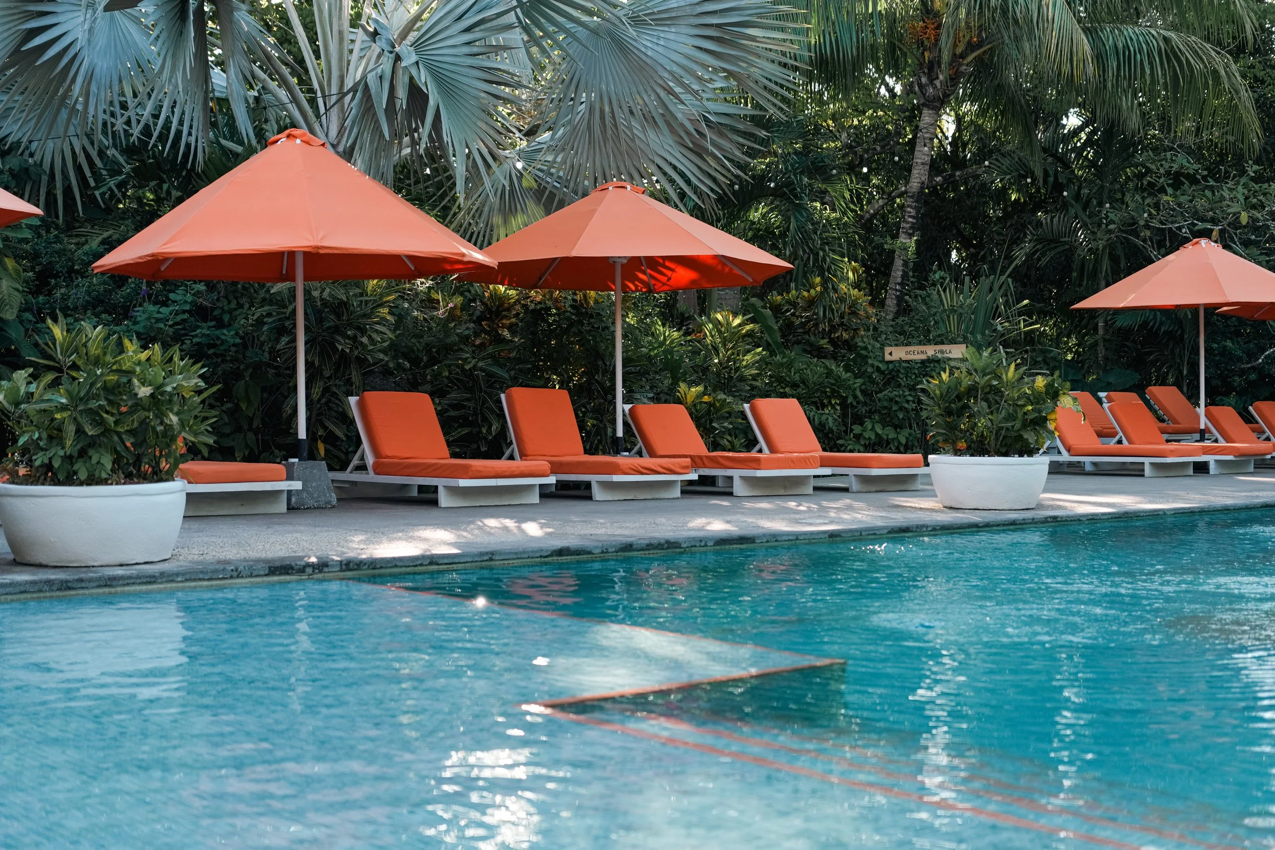 Pool at Bodhi Tree Yoga Resort