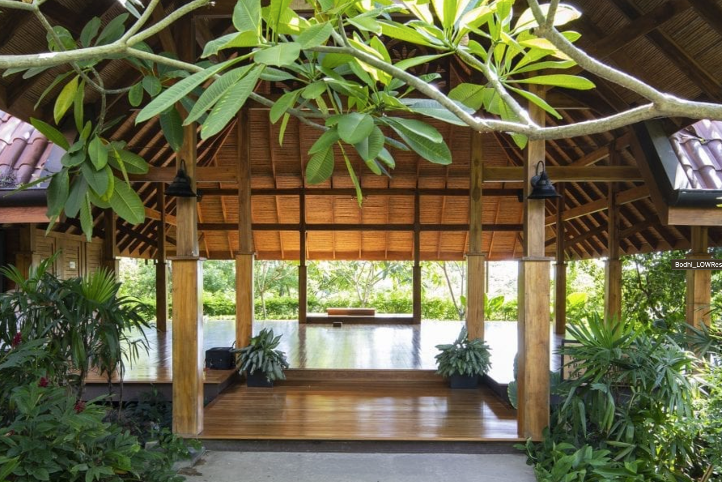Shala at Bodhi Tree Yoga Resort