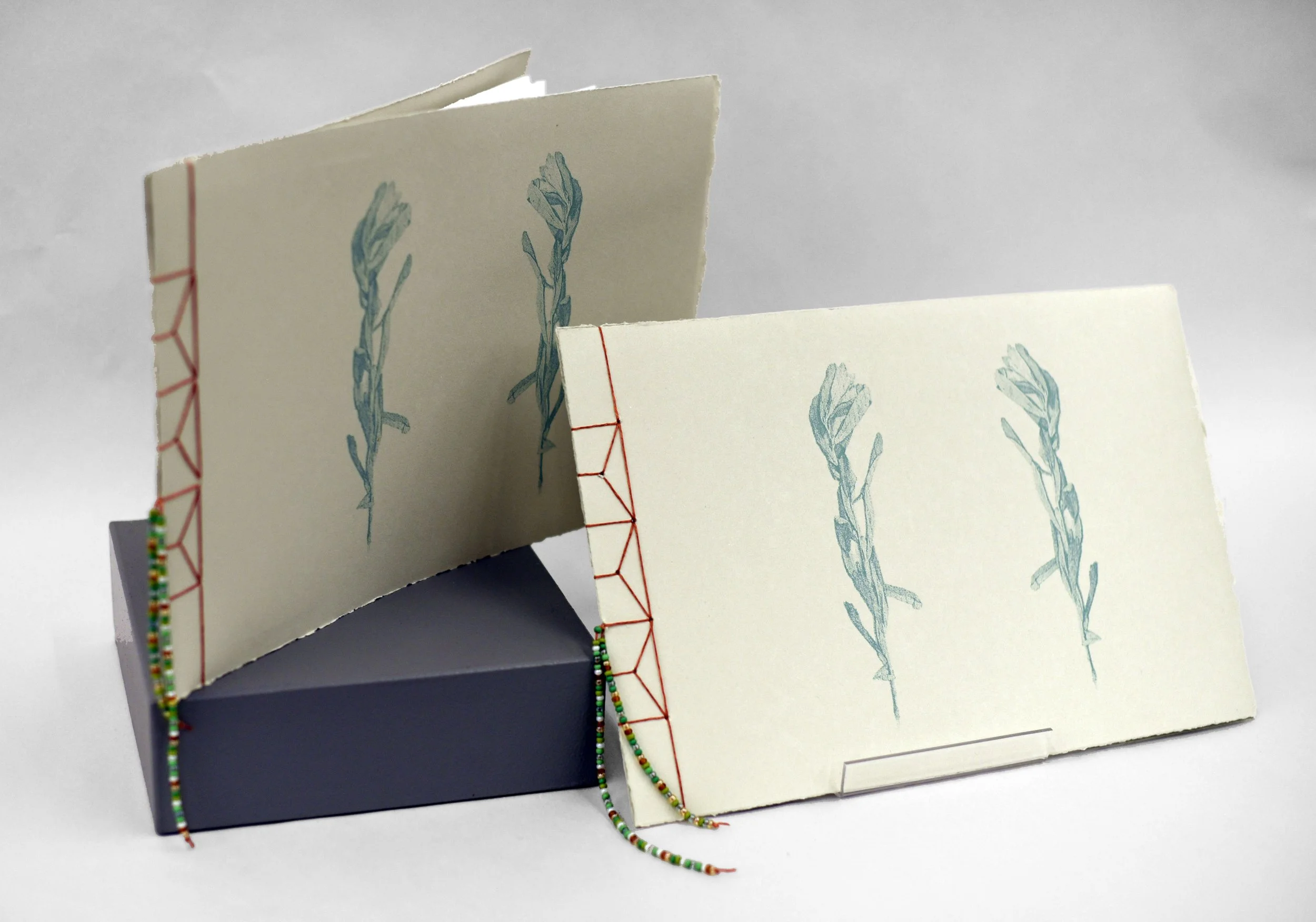 Morgan Project 3-1.jpg