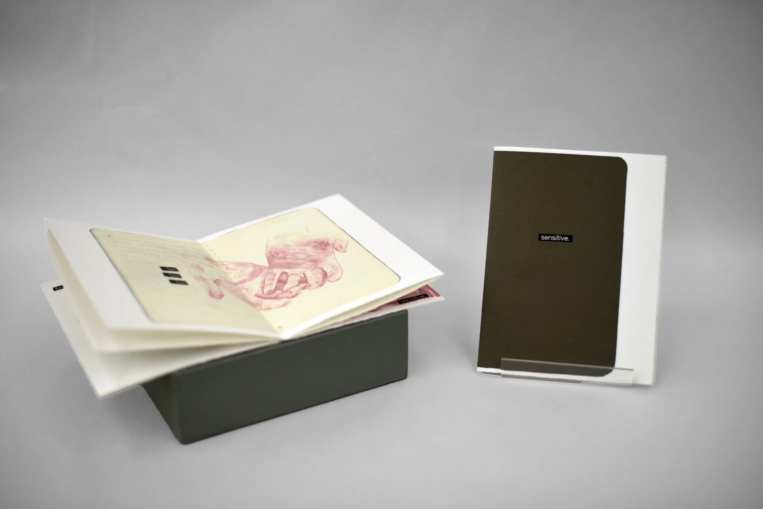 Riley Project 1-2.jpg