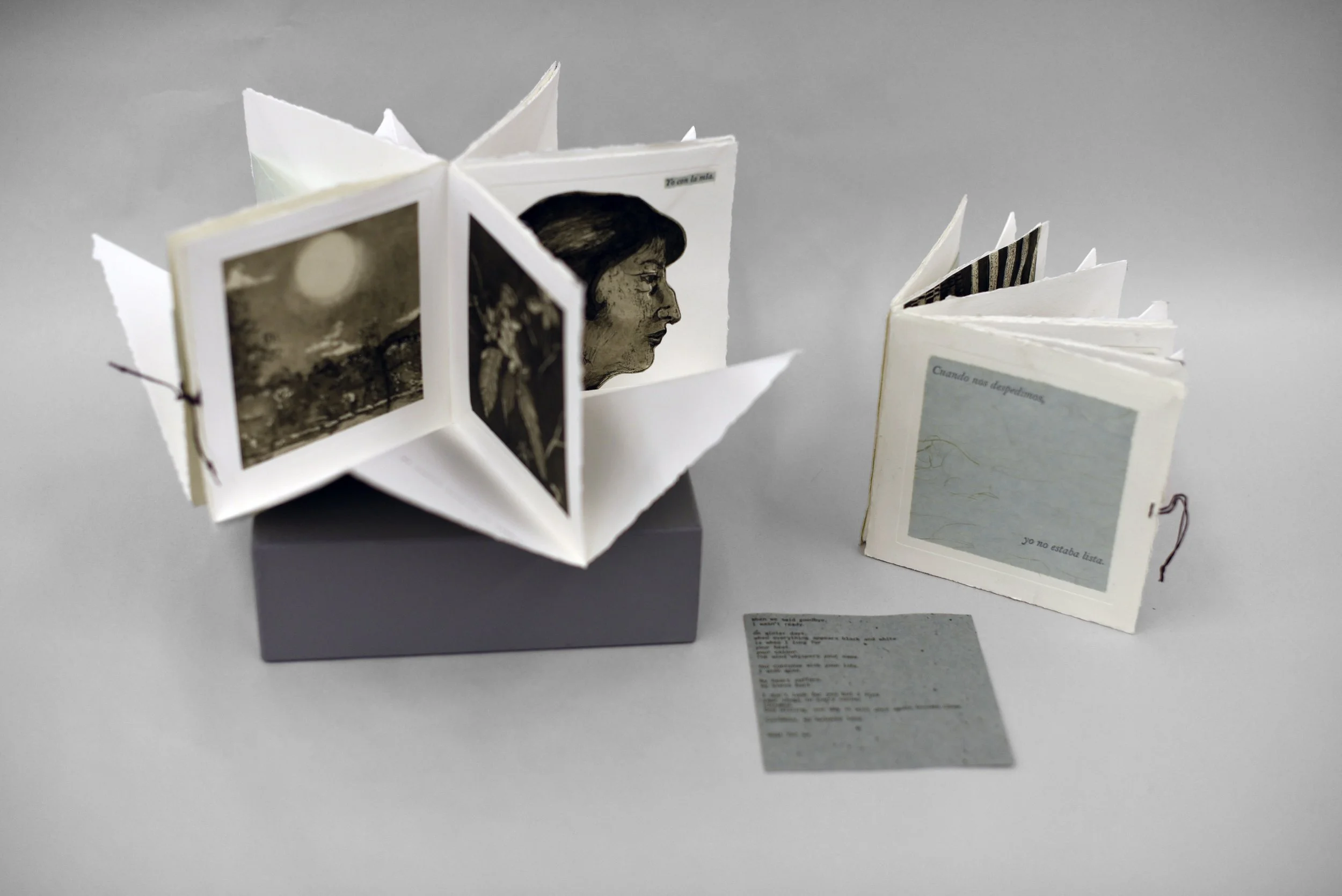 Isabella Project 2-1.jpg