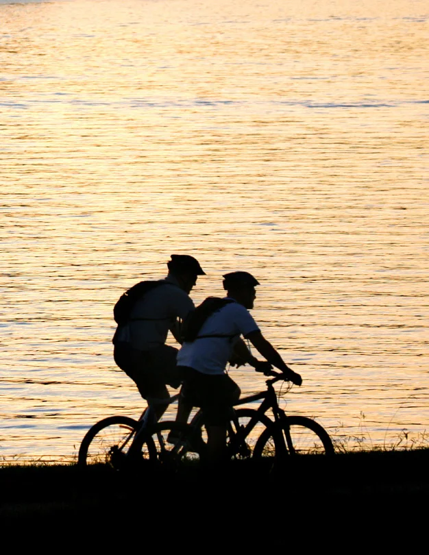 PROJECT: Wagga Wagga Active Travel Plan