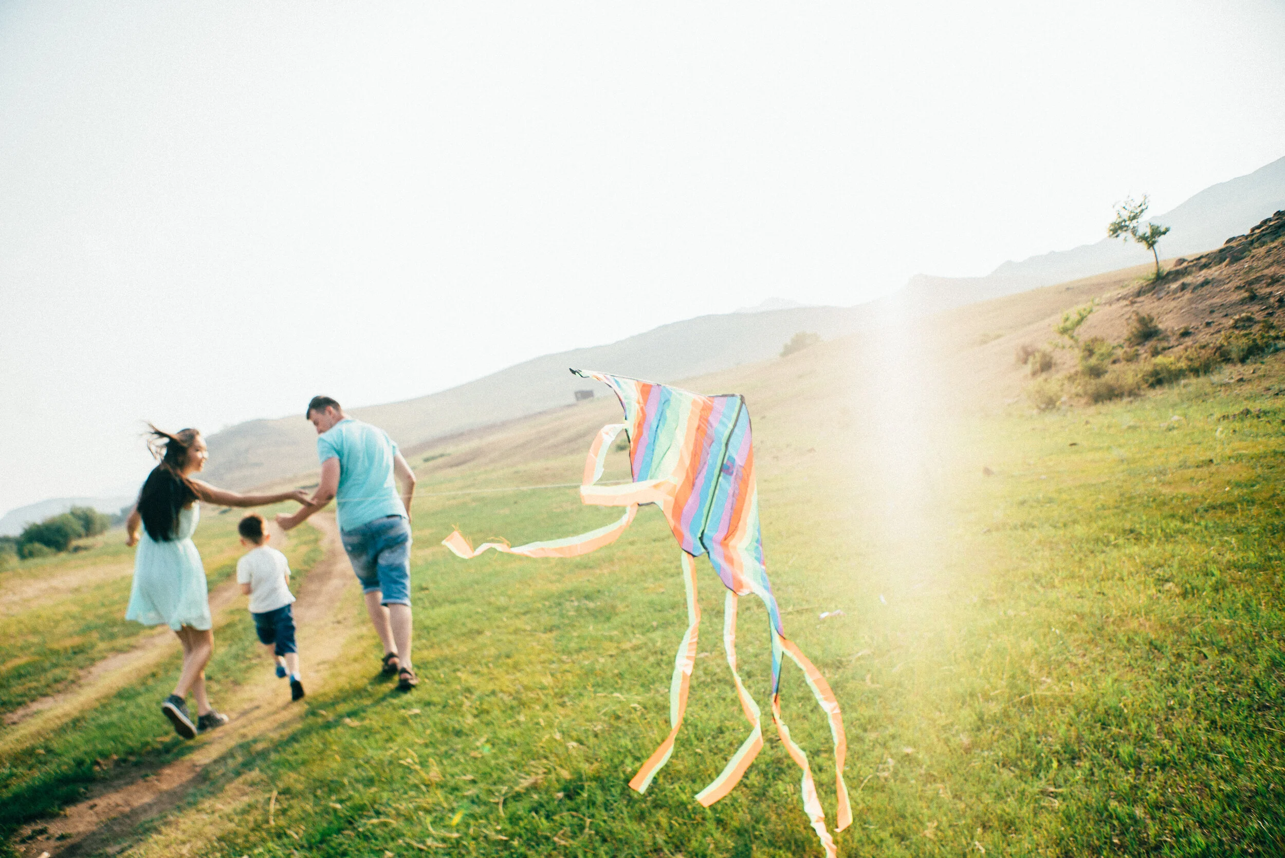 family-and-kite_t20_AeYZX1.jpg