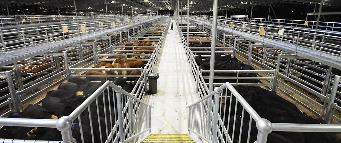 Installed in 2016, the South Eastern Livestock Exchange (SELX) near Yass were designed, manufactured and installed by ProWay.