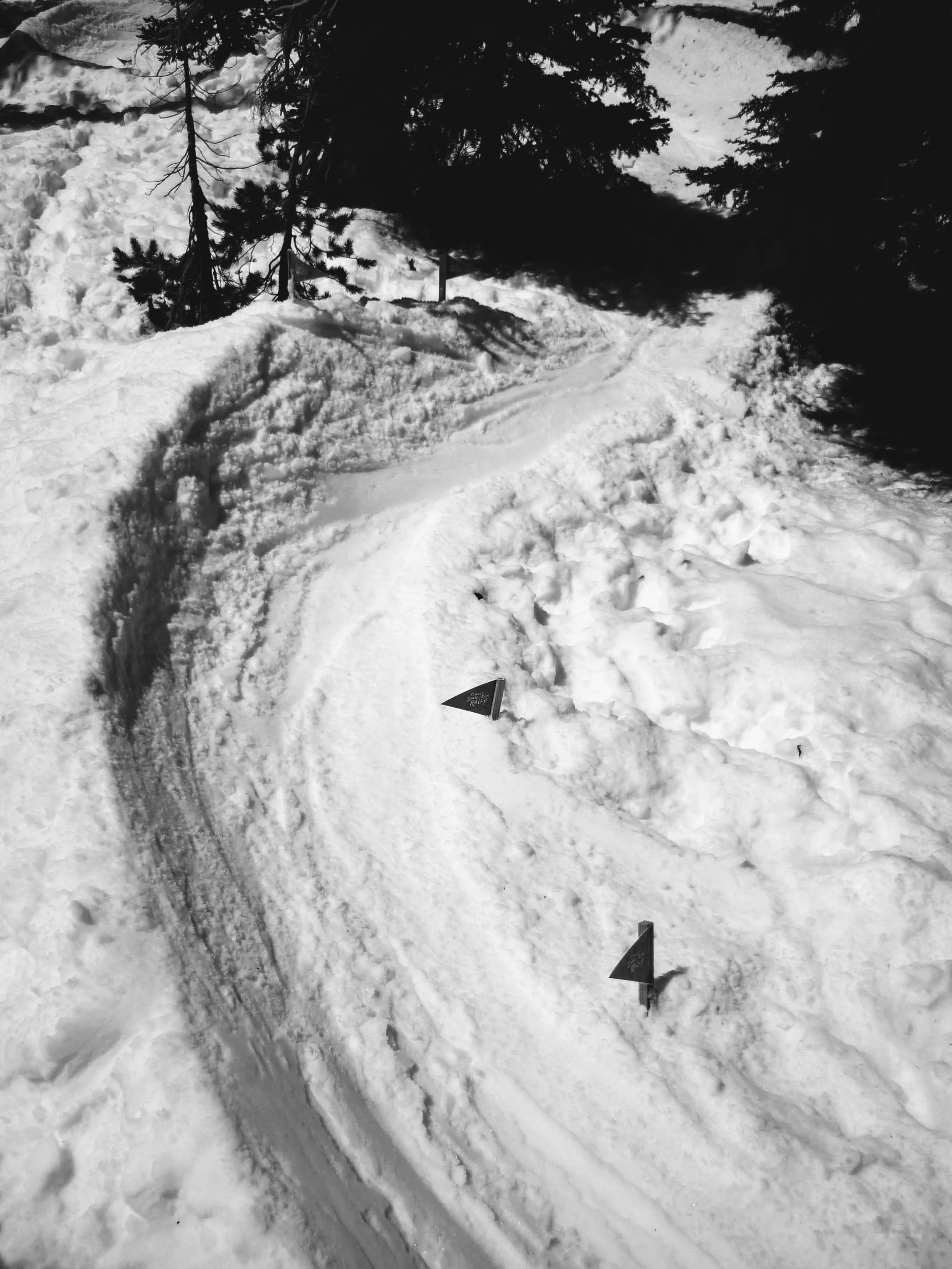 Like A Good Hump In The Woods: Tumalo Snake-Run Rally