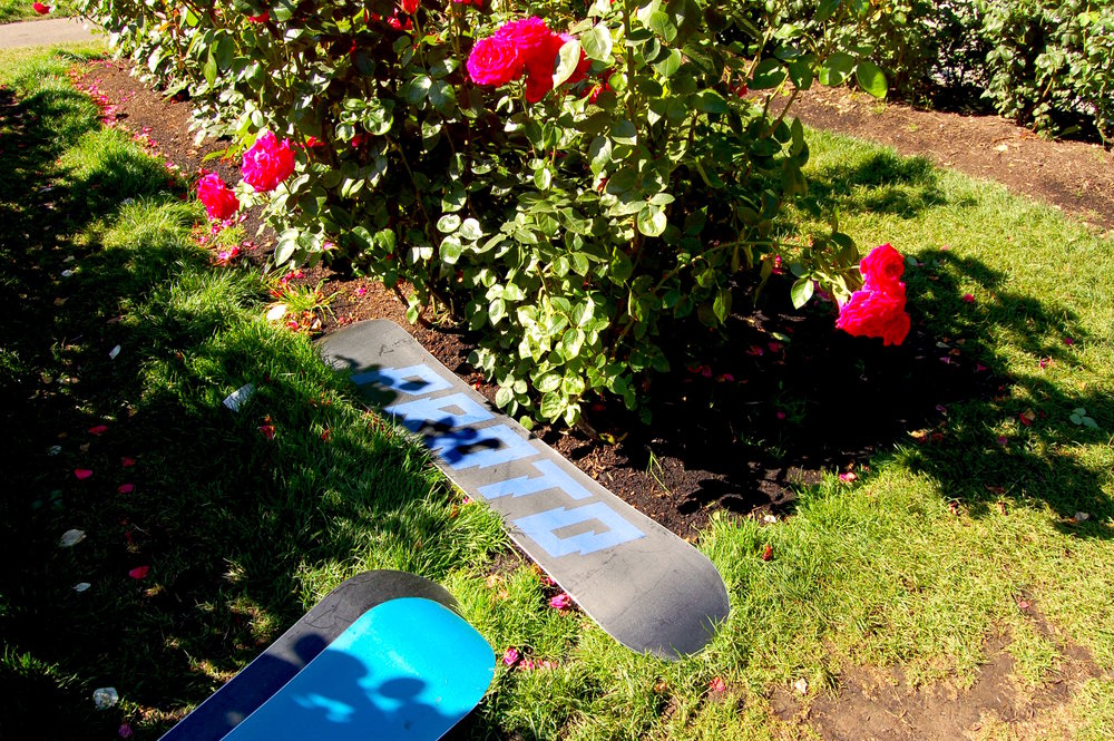 never-summer-proto-type-two-womens-board-gold-snow.jpg