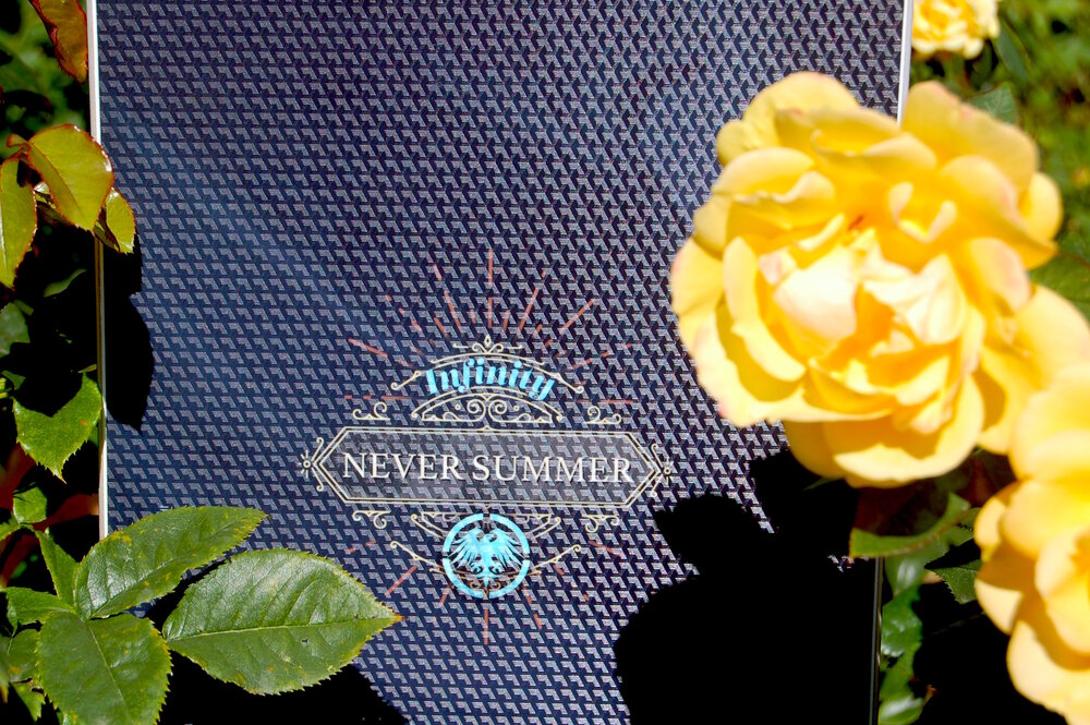 Never-Summer-Infinity-rose-garden.jpg
