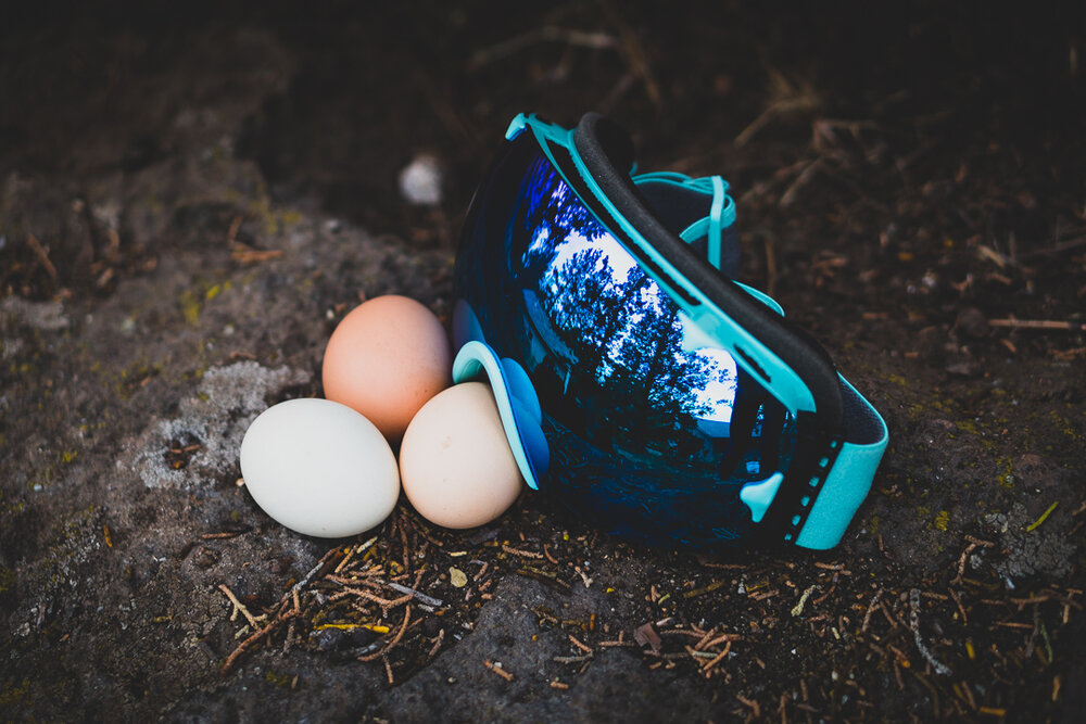 D Curve Nuptse 133 women’s snowboard goggles