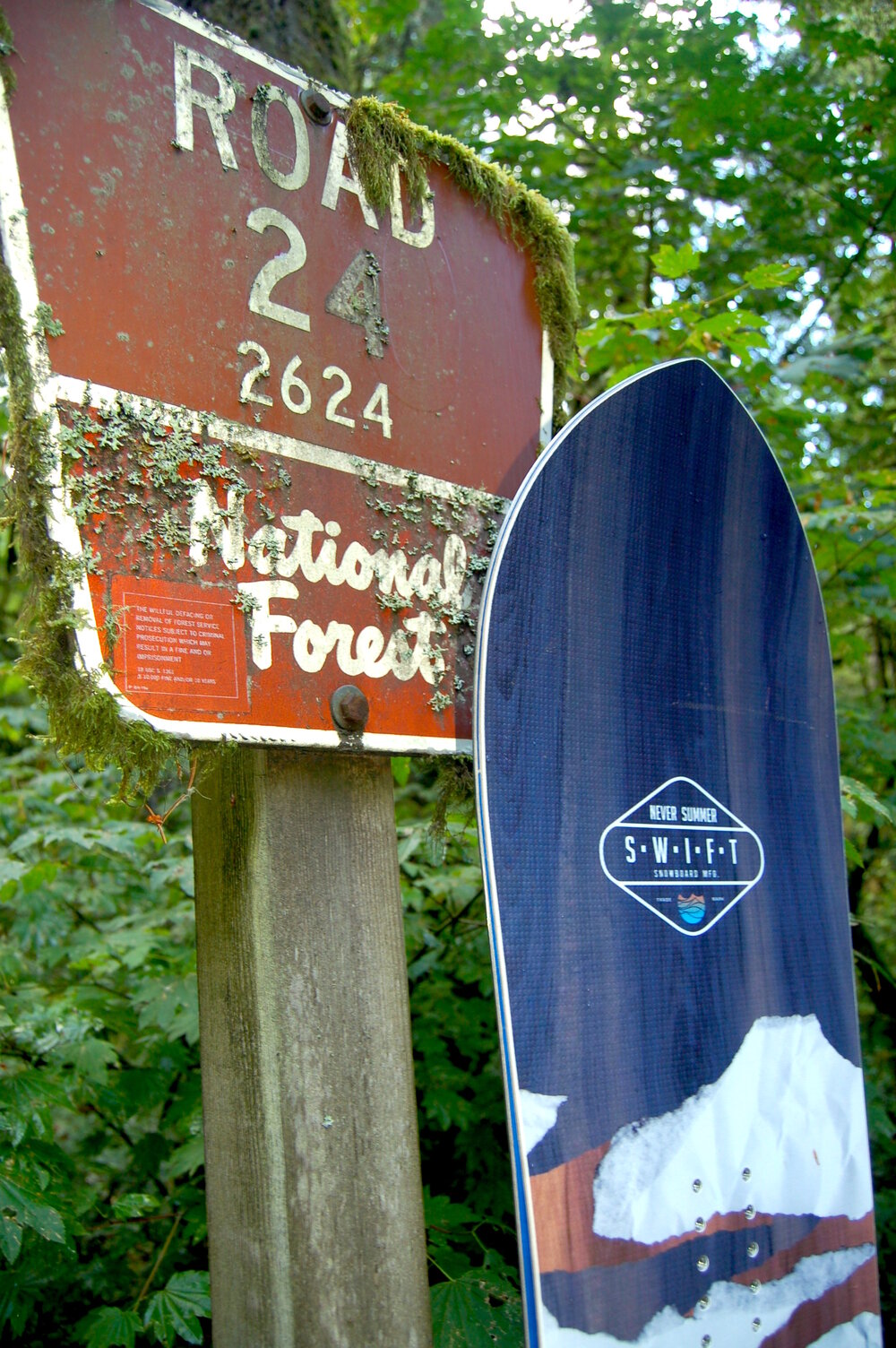 Never-Summer-Swift-powder-snowboard-forest-service.jpg