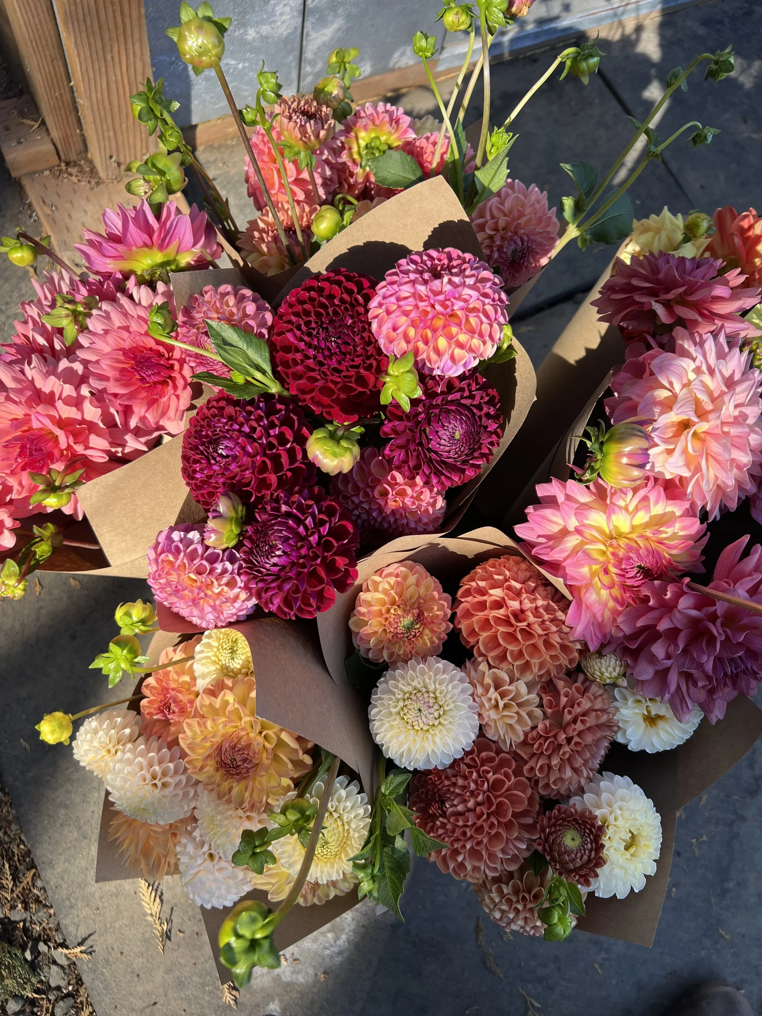 Business Flower Bucket Subscriptions