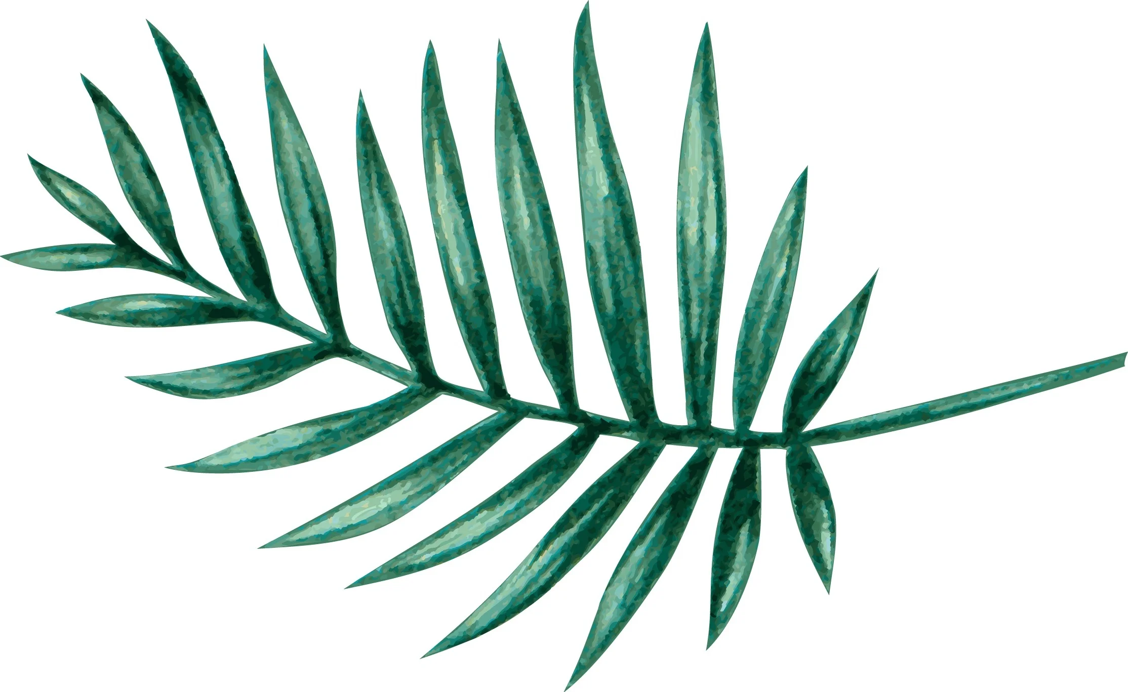 palm06.jpg